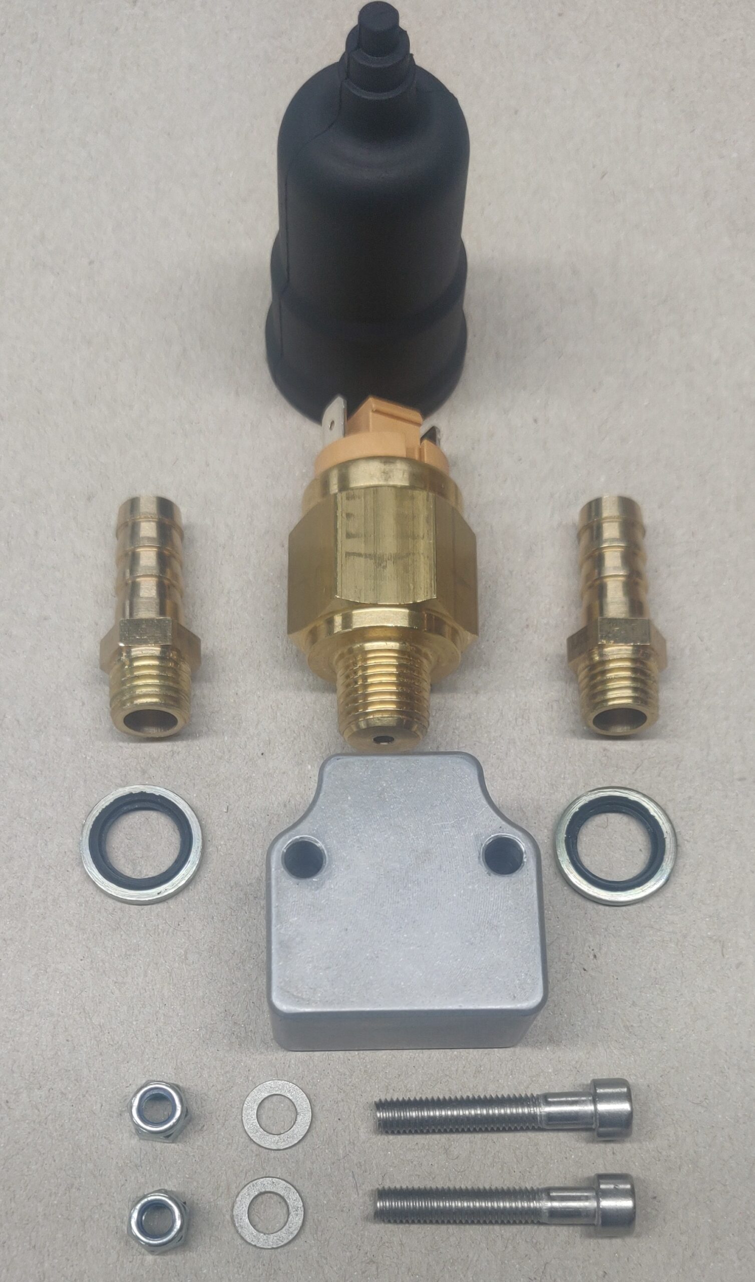 12V Vacuum Pump 'Gold' Kit, Hella UP5.0, Brake Upgrade, Brake servo - Image 3